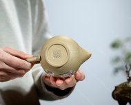 快客壺—盎然生機