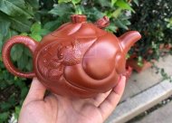 《魚化龍套組》