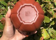 葵仿古；大紅袍450CC